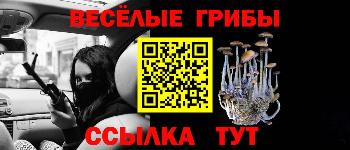 Псилоцибиновые грибы Cubensis Нижневартовск