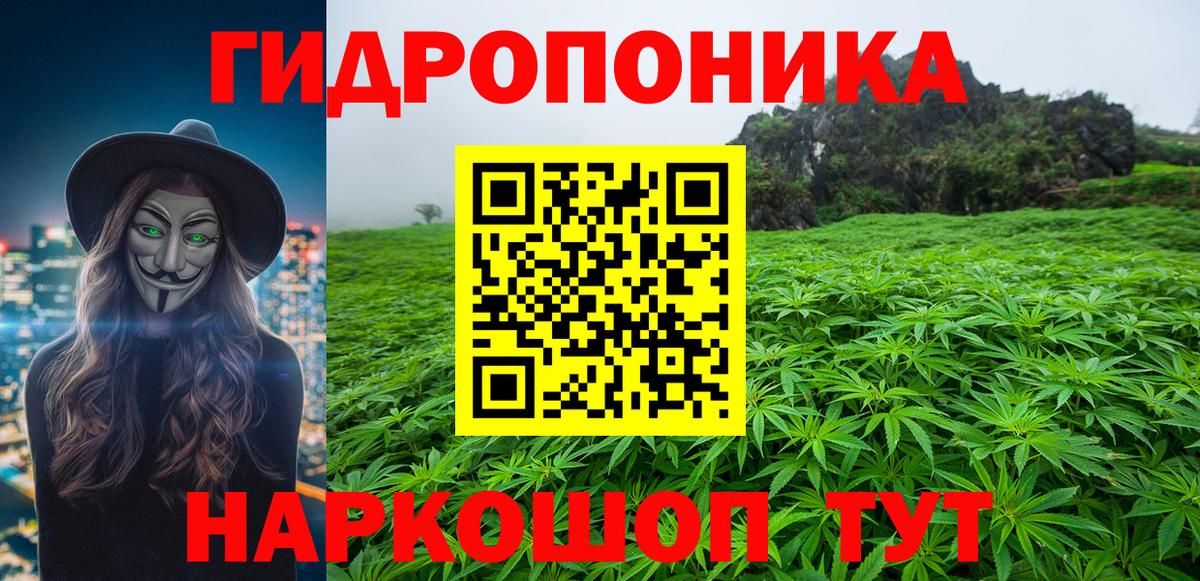 Бошки марихуана Bruce Banner  Марихуана индика  Вход с VPN  Канабис SATIVA & INDICA  Нижневартовск  Канабис сатива 